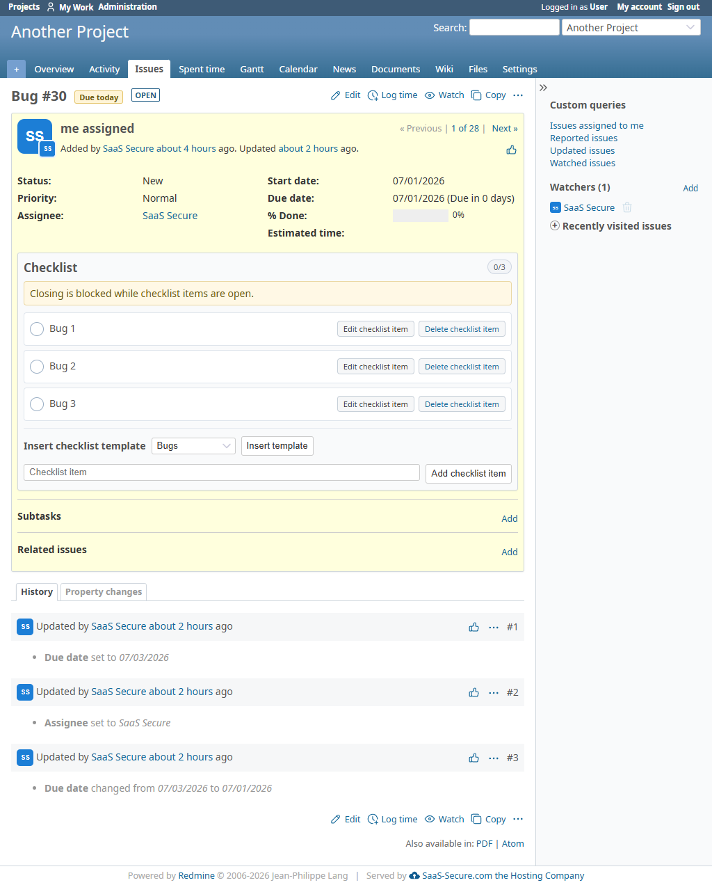 Issue detail page with quick actions, checklist items, badges, and issue hints